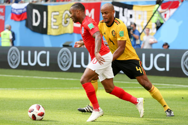 它们不仅为 它们不仅为