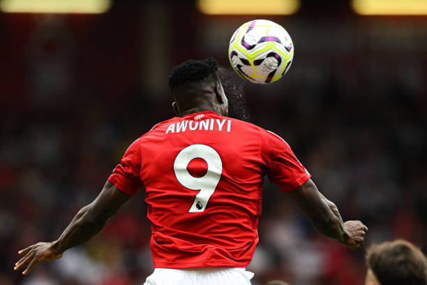 为游客带来 为游客带来