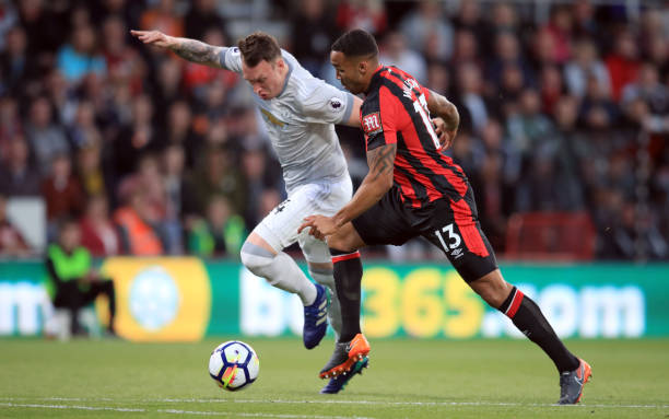 腿和小腿的 腿和小腿的